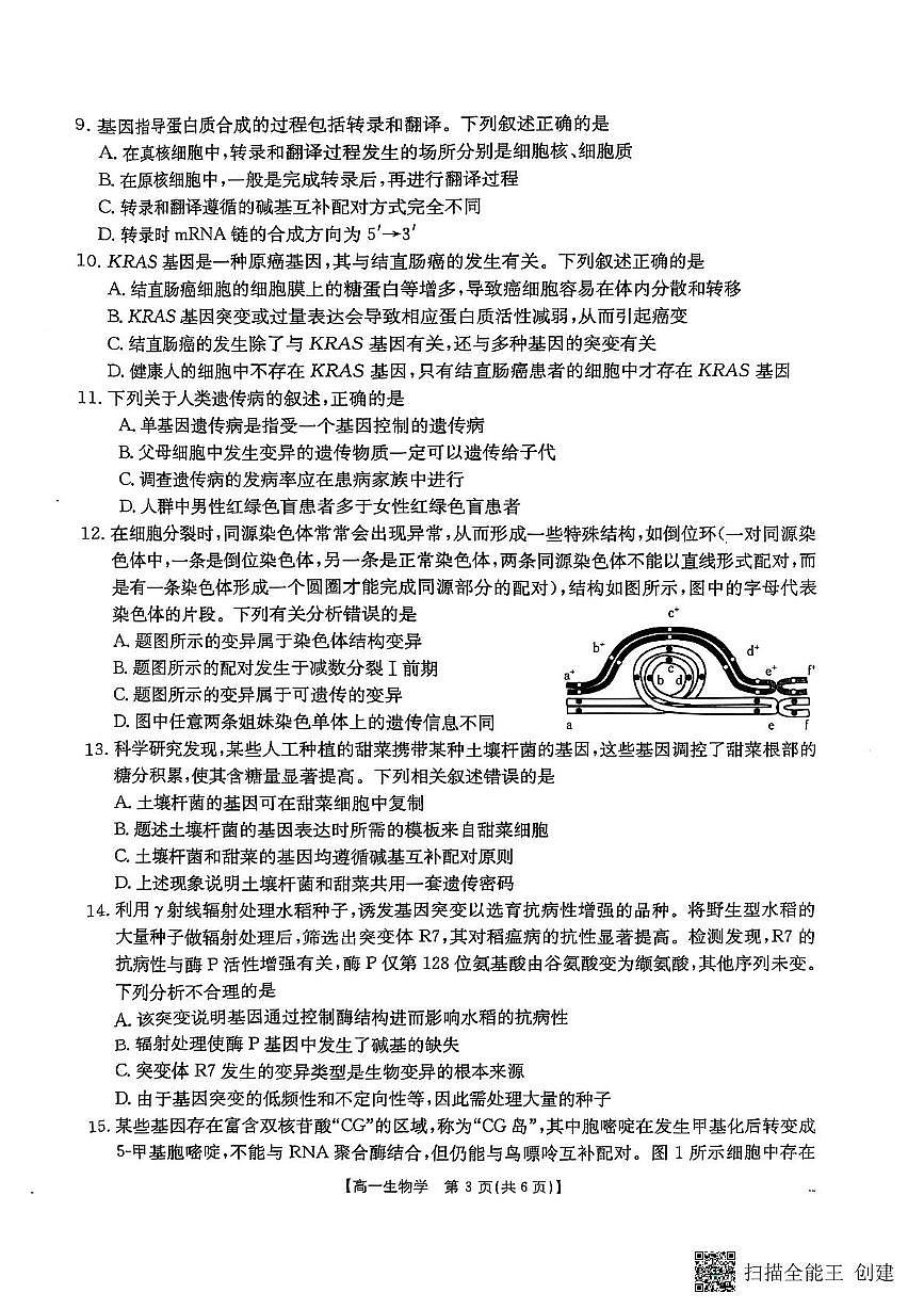 陕西省汉中市部分学校2024-2025学年高一下学期5月阶段性测试生物试卷第3页