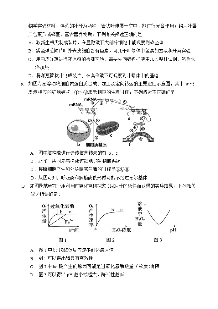 海南省文昌中学2025-2026学年高三上学期第一次月考生物试卷第3页