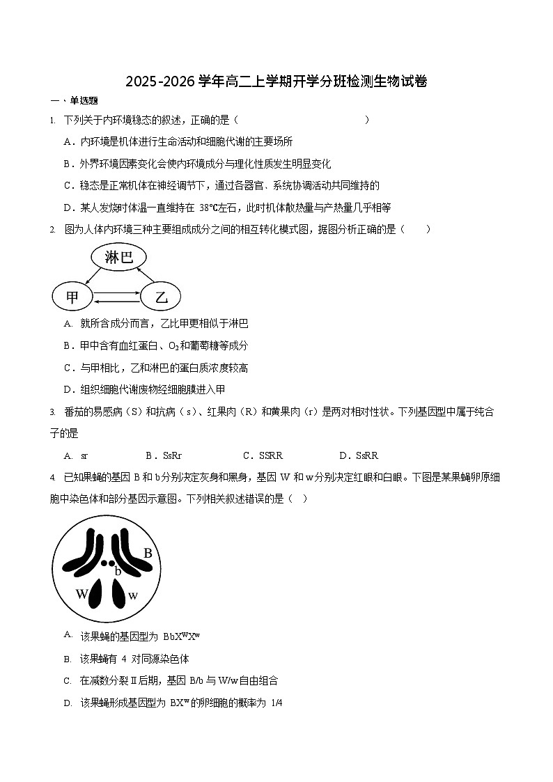 四川省绵阳市东辰学校2025-2026学年高二上学期开学分班检测生物试卷第1页