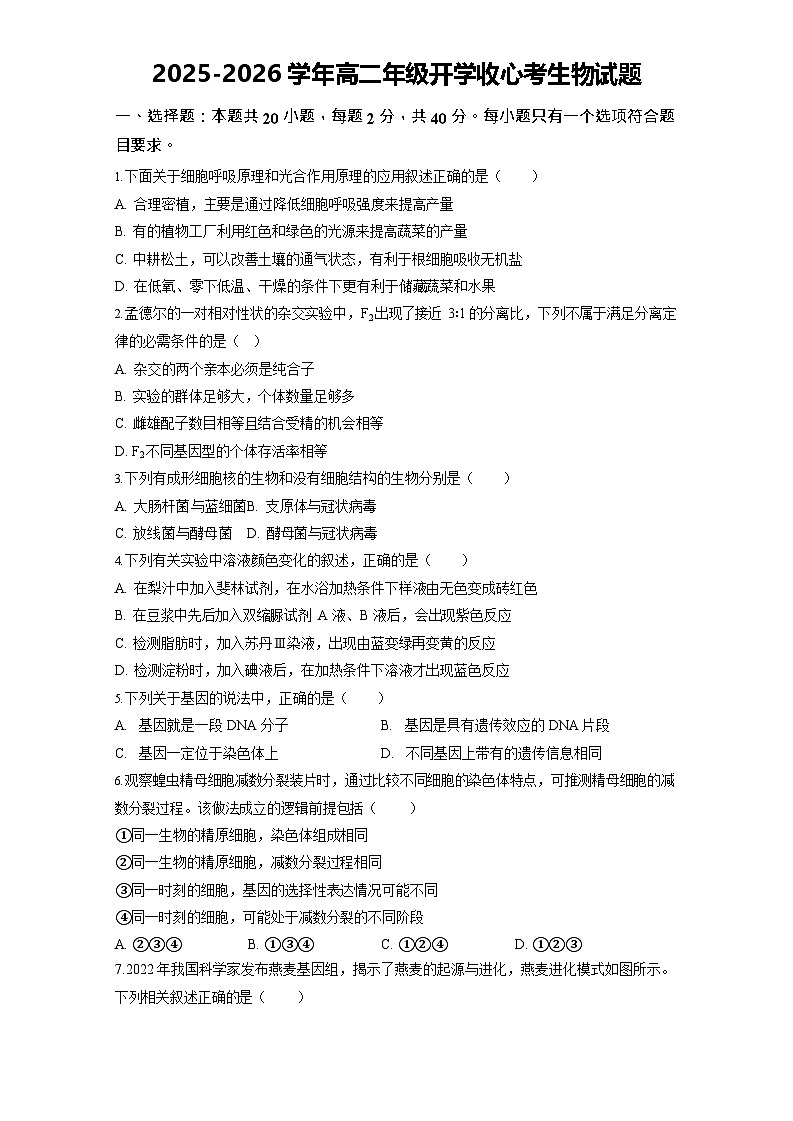 山东省济宁第二中学2025-2026学年高二上学期开学考试生物试卷第1页