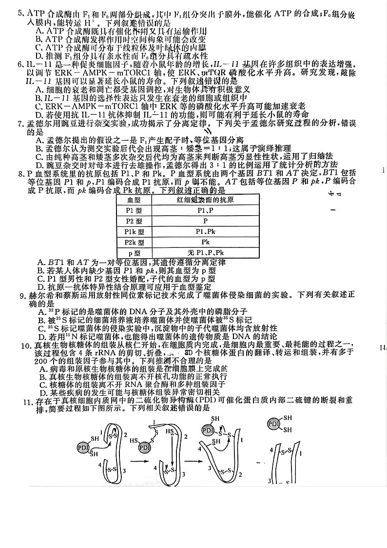 2025届福建省金太阳百校联考高三下学期11月测评-生物试卷（含答案）第2页
