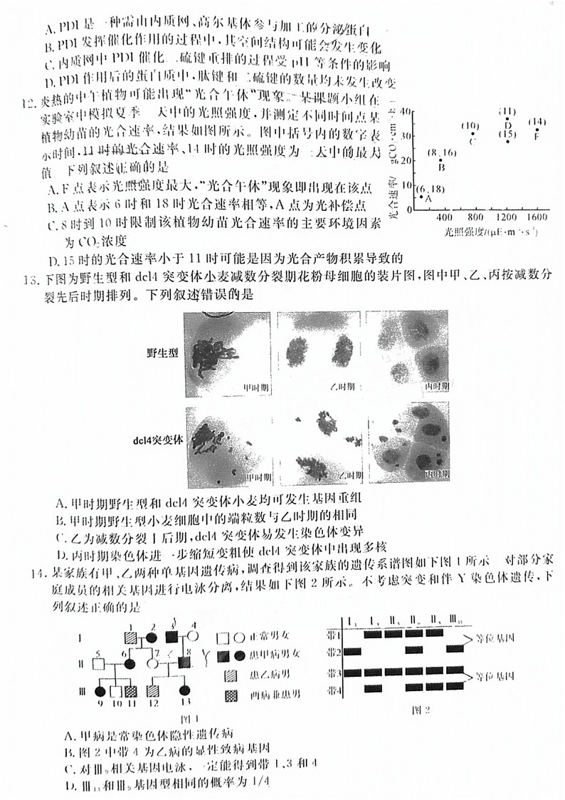 2025届福建省金太阳百校联考高三下学期11月测评-生物试卷（含答案）第3页