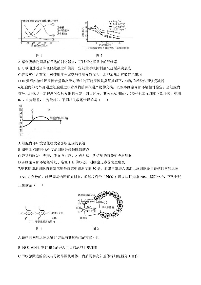 2025届福建省龙岩市一级校联盟高三下学期11月期中考-生物试题（含答案）第2页