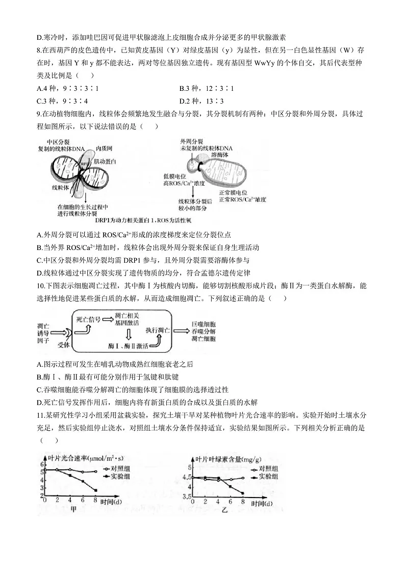 2025届福建省龙岩市一级校联盟高三下学期11月期中考-生物试题（含答案）第3页