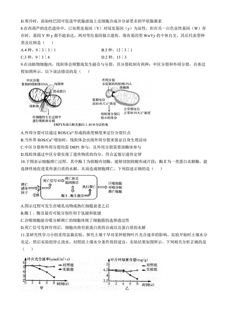 2025届福建省龙岩市一级校联盟高三下学期11月期中考-生物试题（含答案）第3页