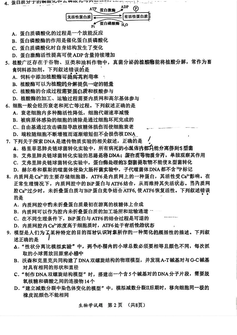 2025届福建省名校联盟高三下学期11月期中质检-生物试卷（含答案）第2页