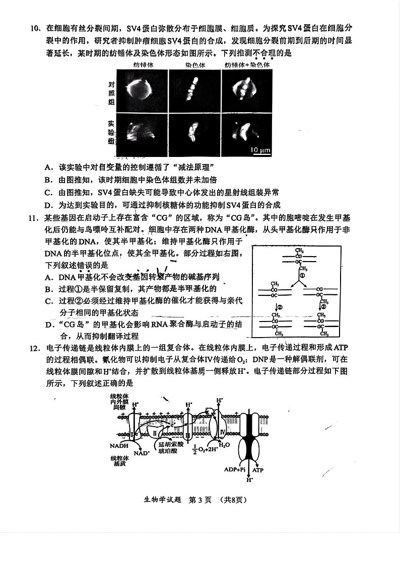 2025届福建省名校联盟高三下学期11月期中质检-生物试卷（含答案）第3页