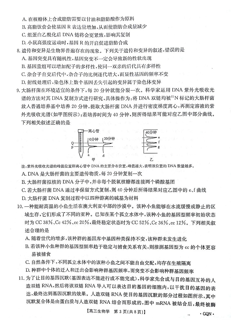 2025届甘肃青海宁夏金太阳百校联考高三下学期11月考-生物试卷（含答案）第3页