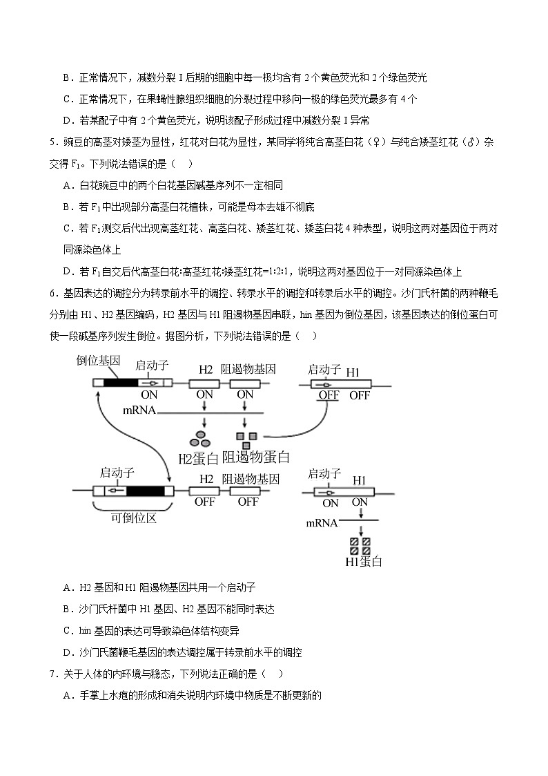 山东省名校考试联盟2026届高三上学期开学摸底考试生物试题（Word版附答案）第2页