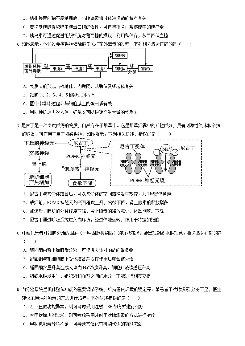 河南省郑州市中牟县第一高级中学2024-2025学年高二上学期10月月考生物试题第2页