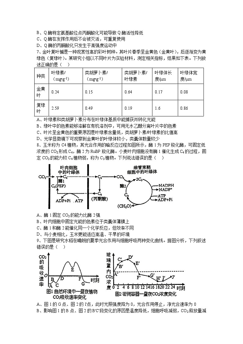 重庆市实验外国语学校2025-2026学年高三上学期9月月考生物试题第2页