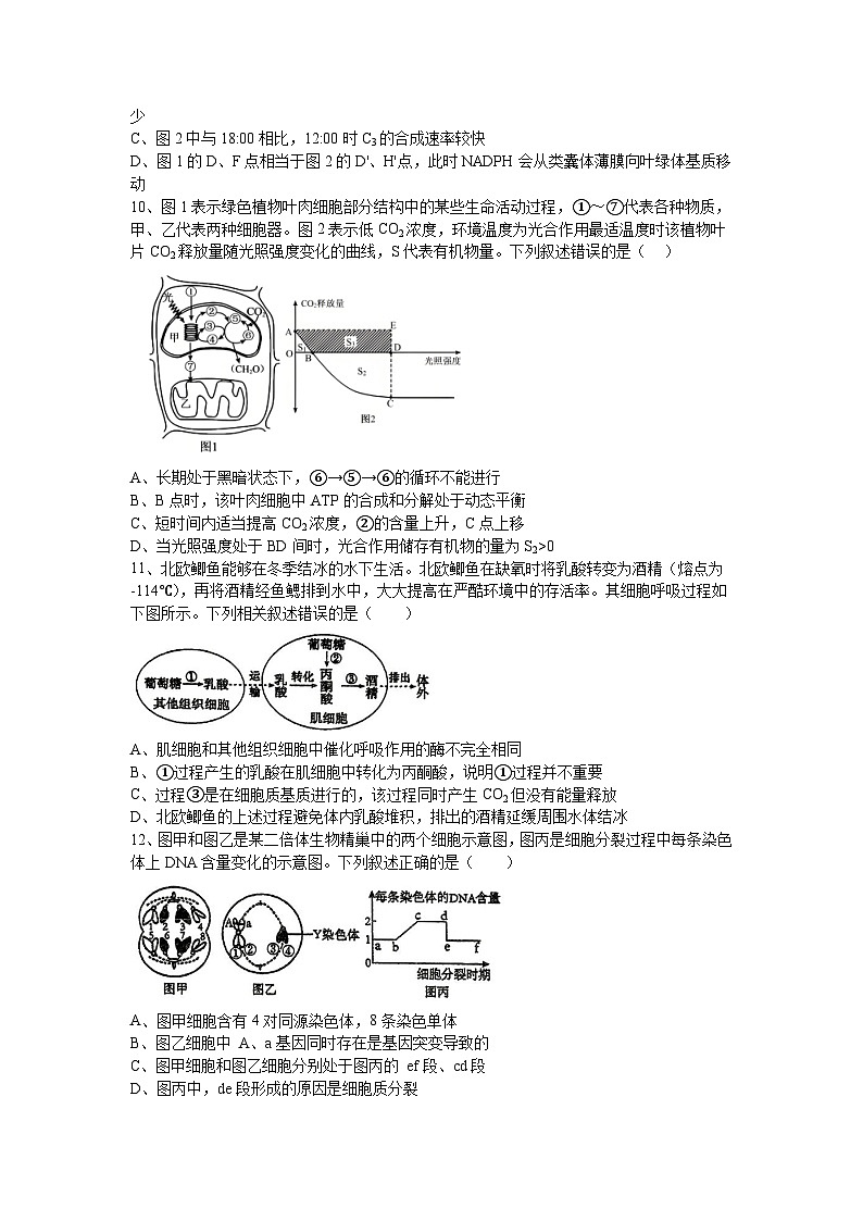 重庆市实验外国语学校2025-2026学年高三上学期9月月考生物试题第3页