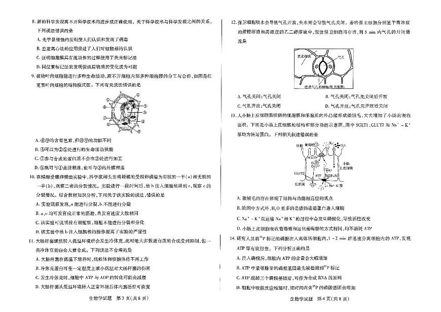 河南省天一大联考2024-2025学年高一上学期12月月考试题生物试卷+答案第2页