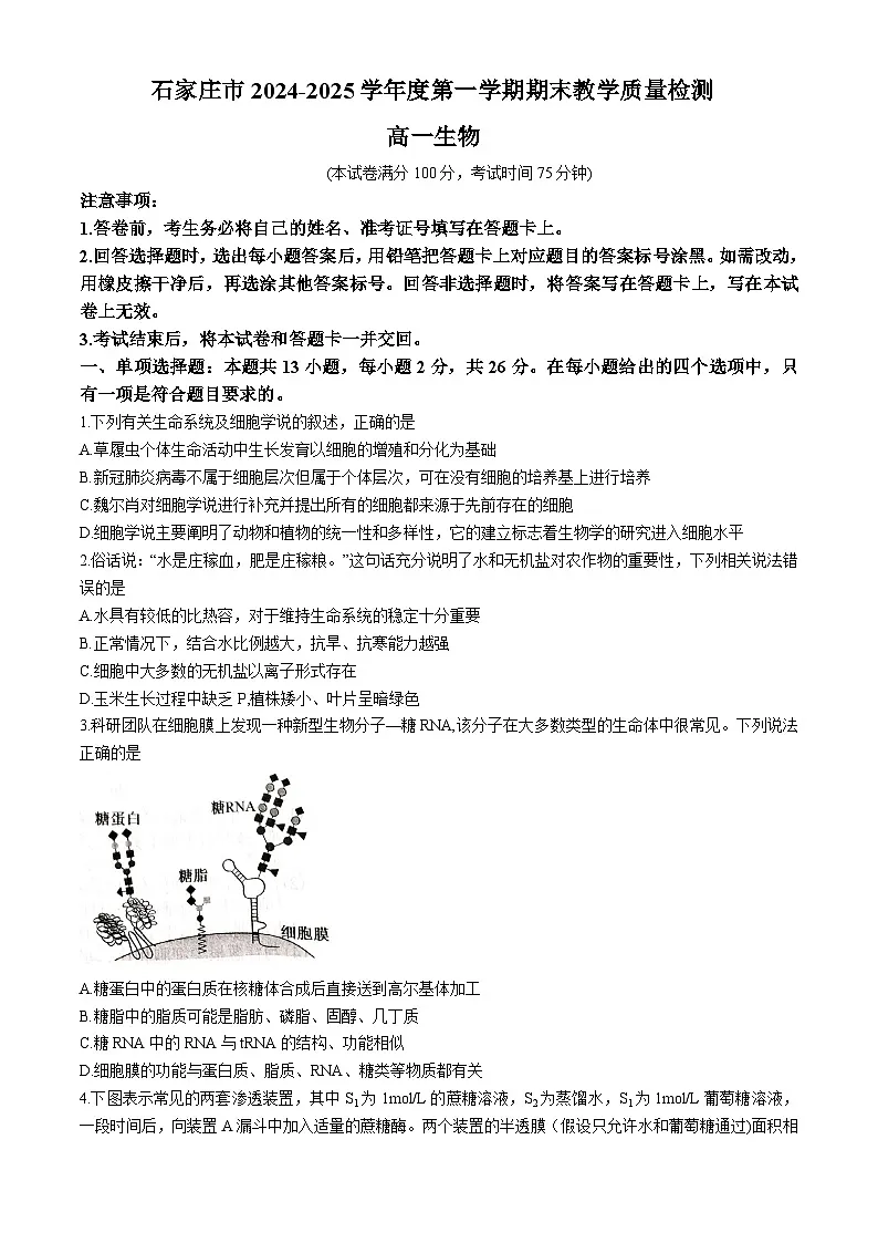 河北省石家庄市2024-2025学年高一上学期期末生物试卷第1页