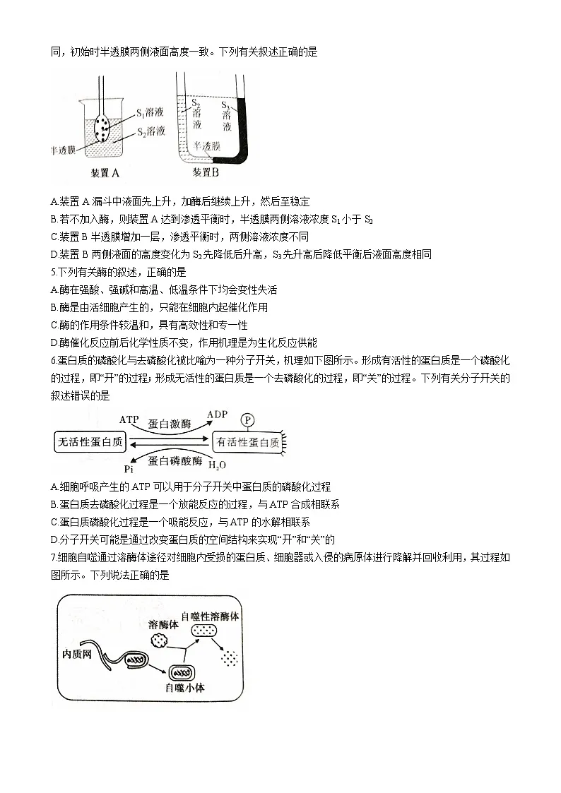 河北省石家庄市2024-2025学年高一上学期期末生物试卷第2页