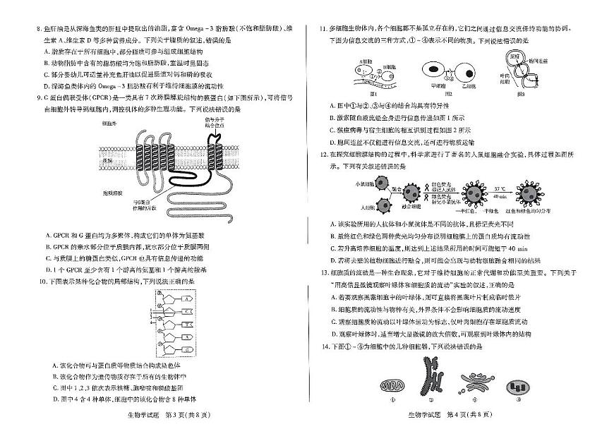 河南省天一大联考2024—2025 学年（上）高一年级期中考试生物试卷+答案第2页