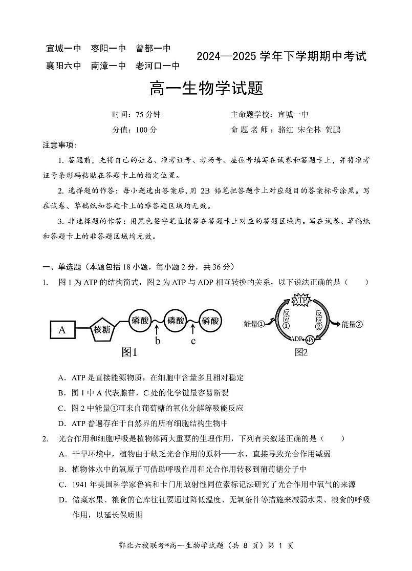 湖北省鄂北六校2024-2025学年度高一下学期期中联考生物试题第1页