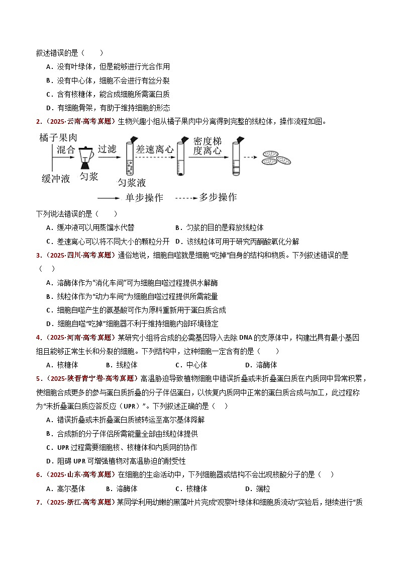 五年（2021-2025）高考生物真题分类汇编：专题02 细胞的结构与功能（全国通用）（原卷版）第2页