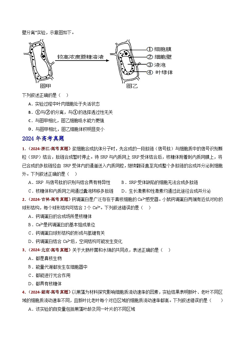 五年（2021-2025）高考生物真题分类汇编：专题02 细胞的结构与功能（全国通用）（原卷版）第3页