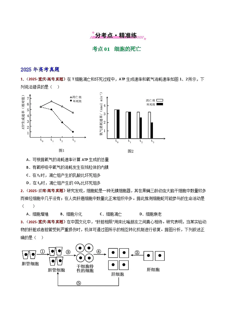 五年（2021-2025）高考生物真题分类汇编：专题07 细胞的分化、衰老、死亡及癌变（全国通用）（原卷版）第2页