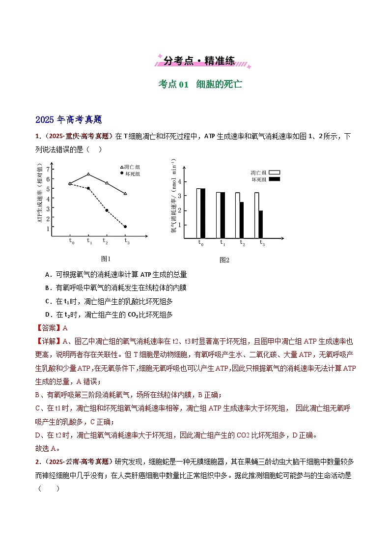 五年（2021-2025）高考生物真题分类汇编：专题07 细胞的分化、衰老、死亡及癌变（全国通用）（解析版）第2页