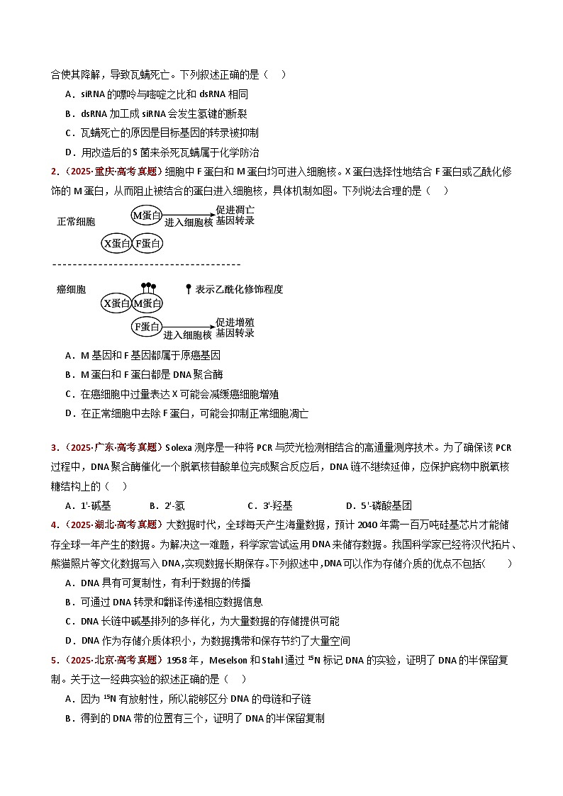 五年（2021-2025）高考生物真题分类汇编：专题08 遗传的分子基础（全国通用）（原卷版）第2页