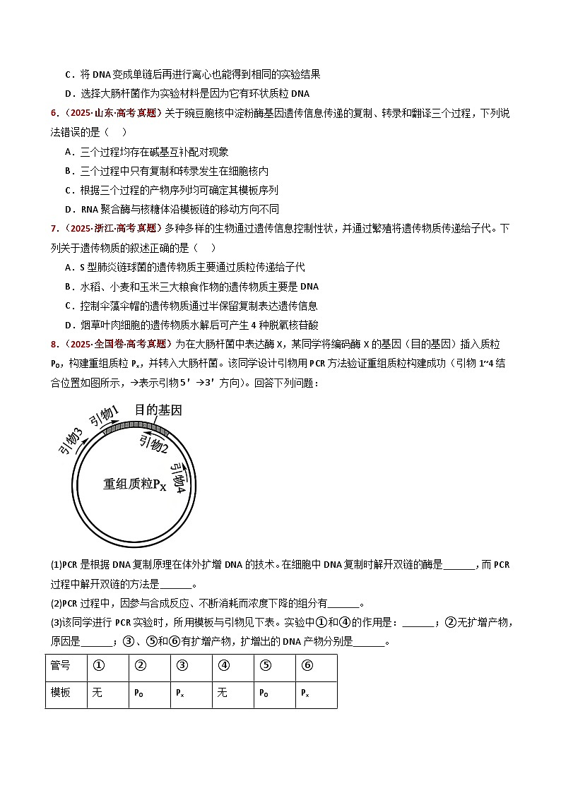 五年（2021-2025）高考生物真题分类汇编：专题08 遗传的分子基础（全国通用）（原卷版）第3页