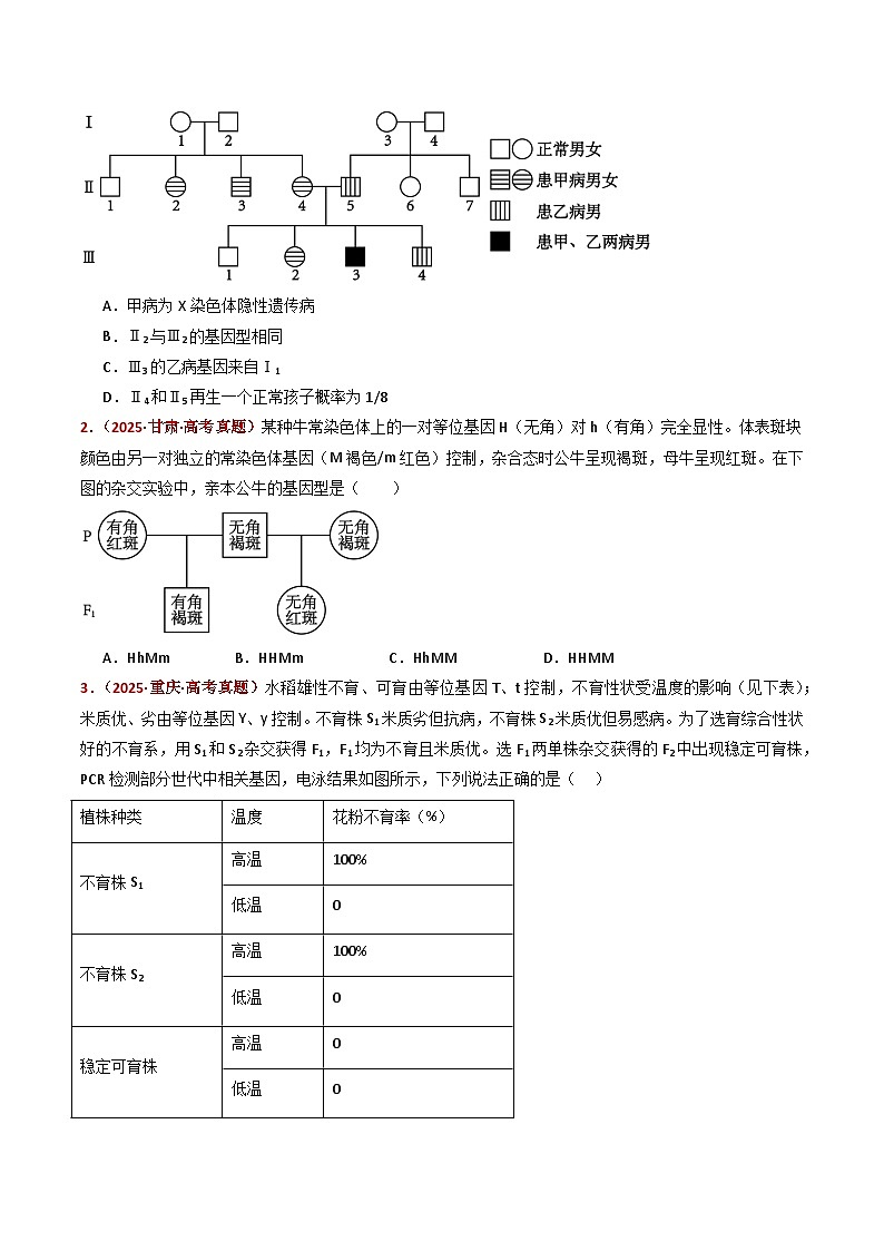 五年（2021-2025）高考生物真题分类汇编：专题09 基因的分离定律（全国通用）（原卷版）第2页
