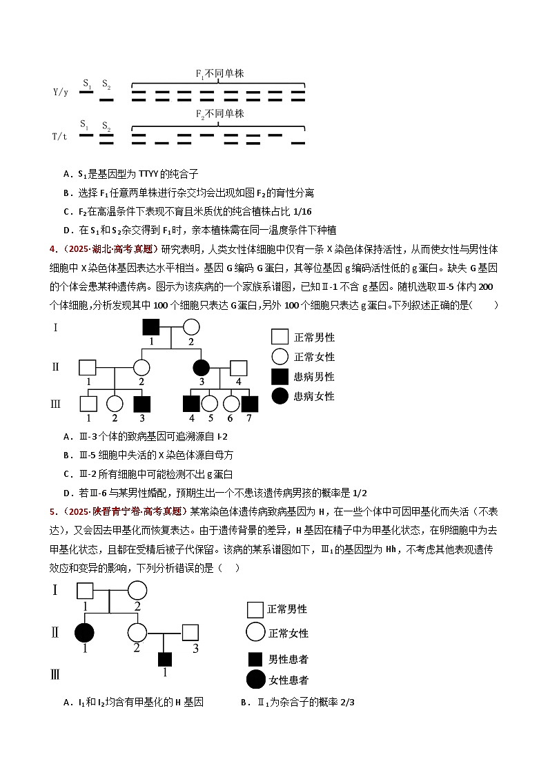五年（2021-2025）高考生物真题分类汇编：专题09 基因的分离定律（全国通用）（原卷版）第3页