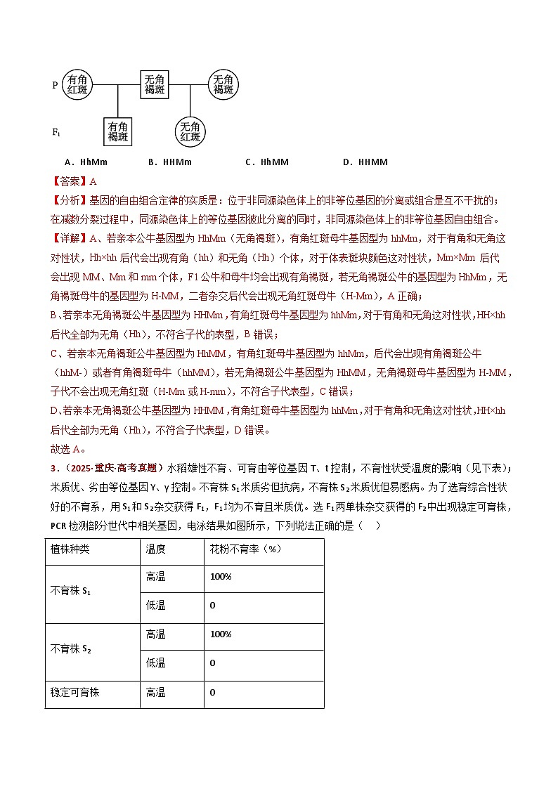 五年（2021-2025）高考生物真题分类汇编：专题09 基因的分离定律（全国通用）（解析版）第3页