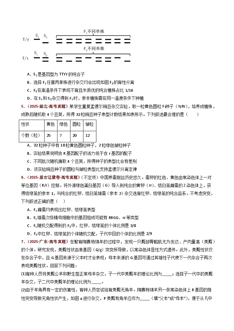五年（2021-2025）高考生物真题分类汇编：专题10 基因的自由组合定律（全国通用）（原卷版）第3页