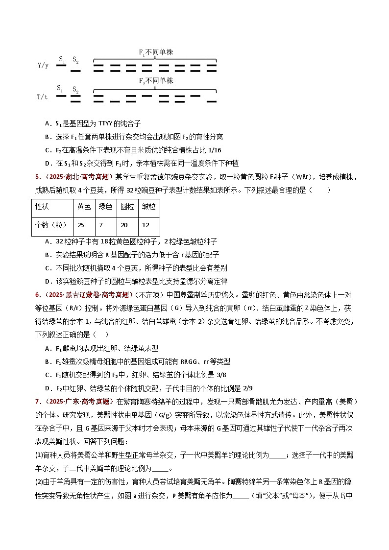 五年（2021-2025）高考生物真题分类汇编：专题10 基因的自由组合定律（全国通用）（原卷版）第3页