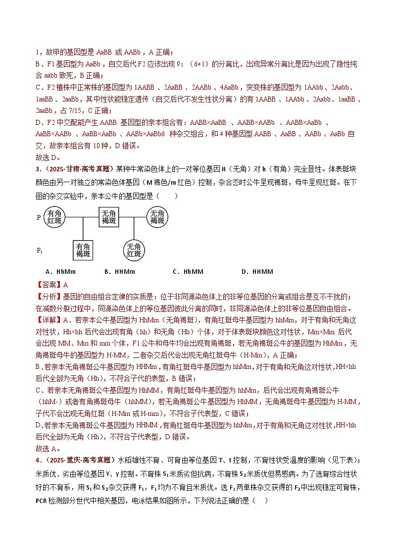 五年（2021-2025）高考生物真题分类汇编：专题10 基因的自由组合定律（全国通用）（解析版）第3页
