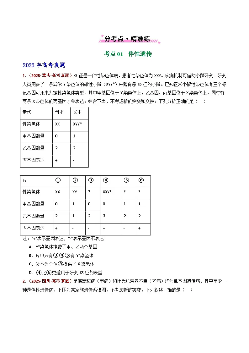 五年（2021-2025）高考生物真题分类汇编：专题11 伴性遗传和人类遗传病（全国通用）（原卷版）第2页