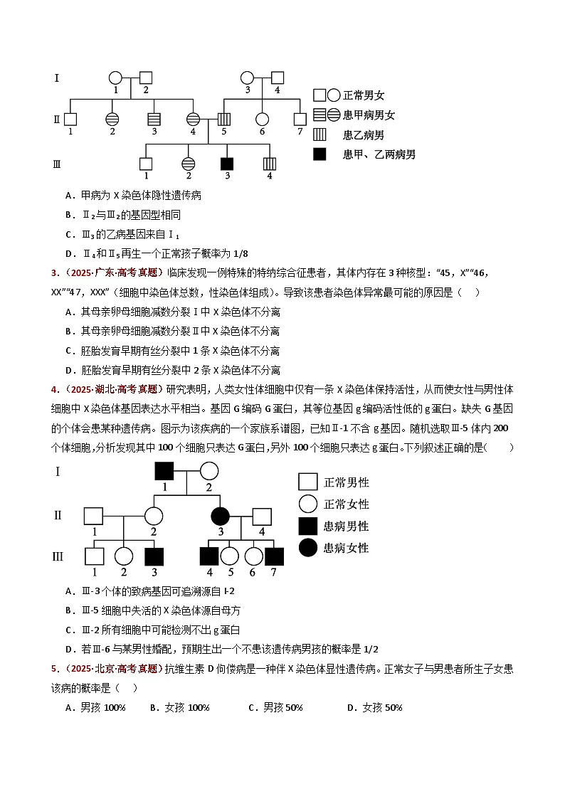 五年（2021-2025）高考生物真题分类汇编：专题11 伴性遗传和人类遗传病（全国通用）（原卷版）第3页
