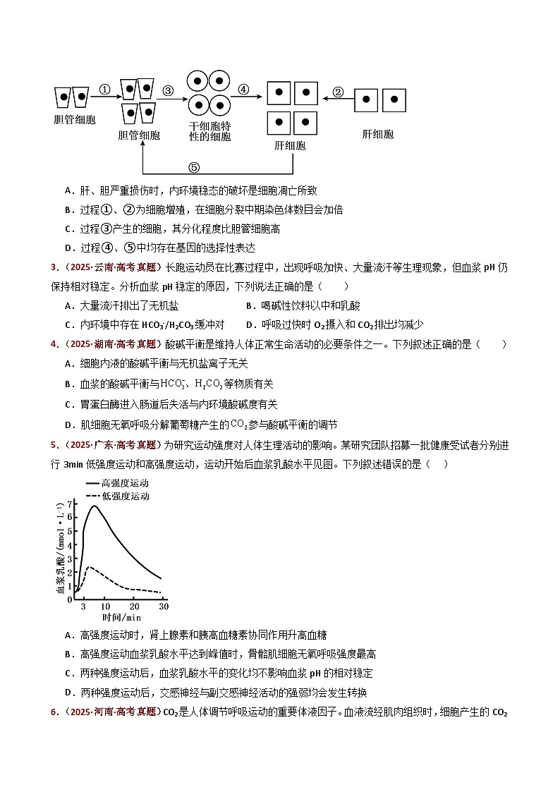 五年（2021-2025）高考生物真题分类汇编：专题13 内环境及其稳态（全国通用）（原卷版）第2页