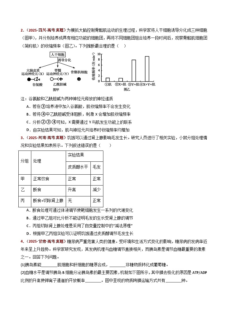 五年（2021-2025）高考生物真题分类汇编：专题23 实验与探究（全国通用）（原卷版）第2页
