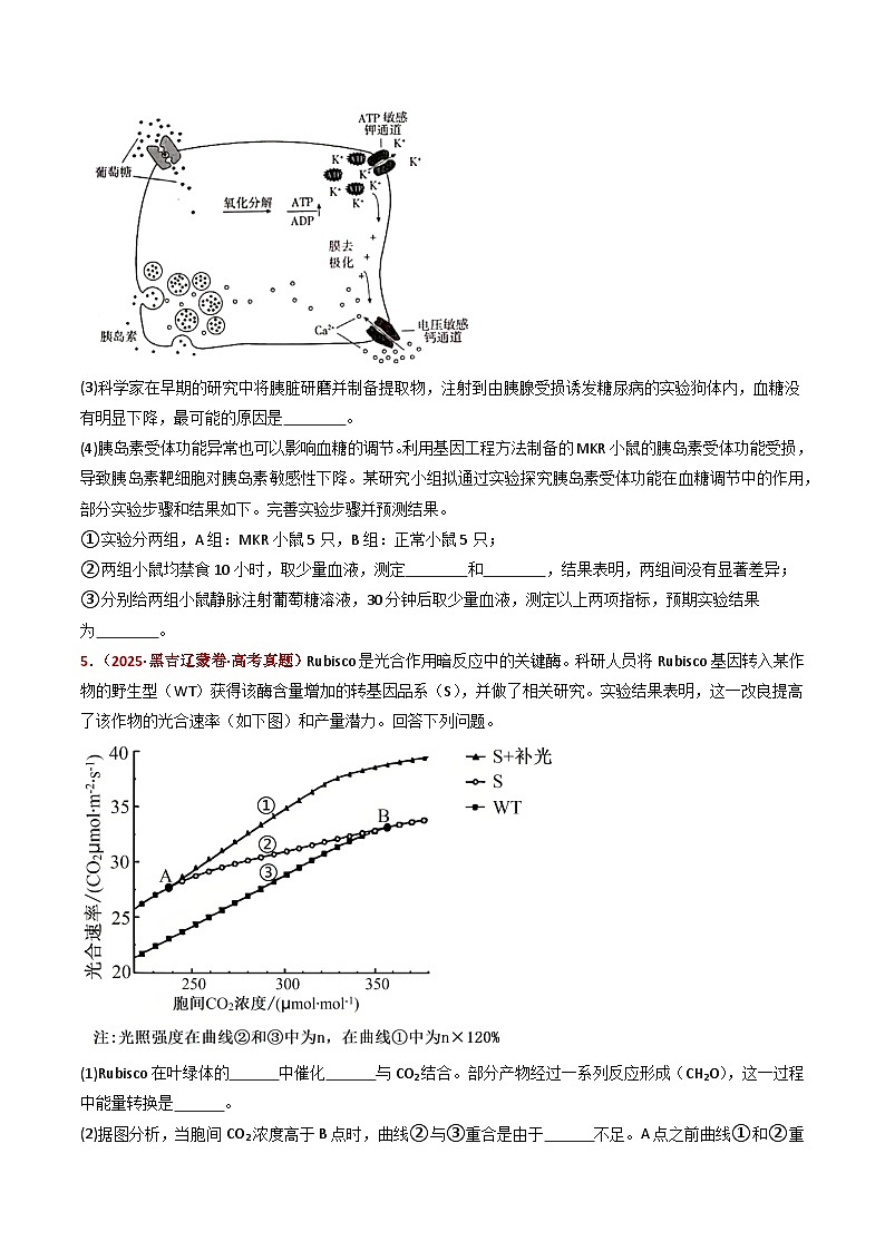 五年（2021-2025）高考生物真题分类汇编：专题23 实验与探究（全国通用）（原卷版）第3页