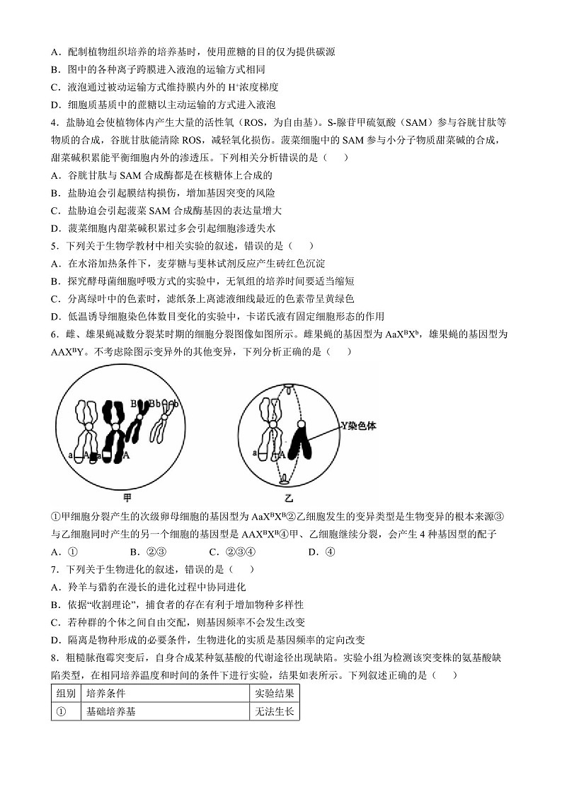 2025届河北省沧衡名校联盟高三下学期11月期中考-生物试题（含答案）第2页