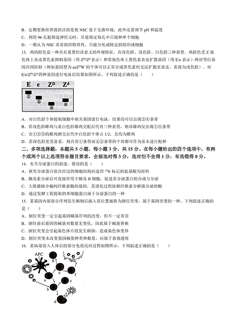 2025届河北省石家庄市高三下学期10月摸底考-生物试题（含答案）第3页