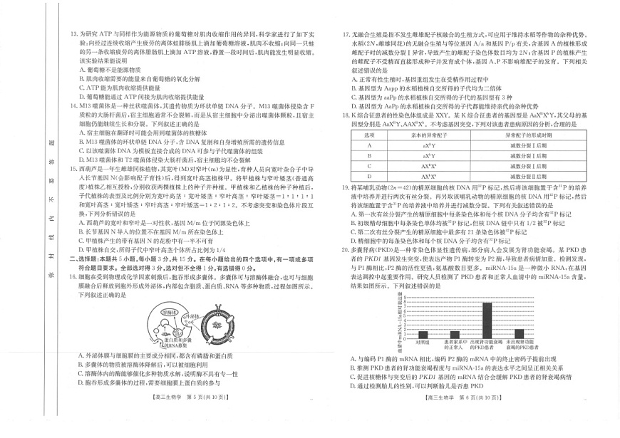 2025届河南省金太阳高三下学期11月诊断考-生物试题（含答案）第3页