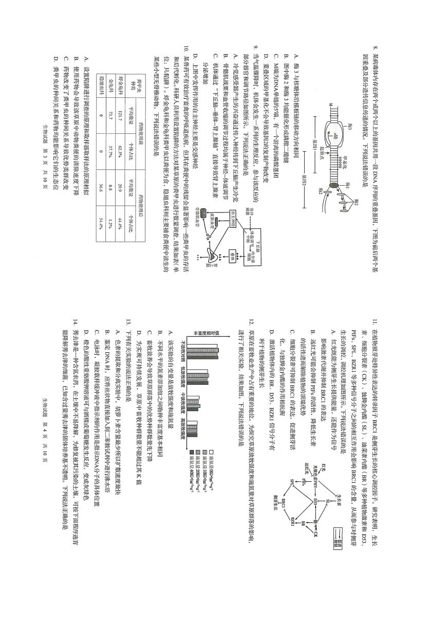 山东省青岛市2026届高三上学期开学检测生物试卷第2页