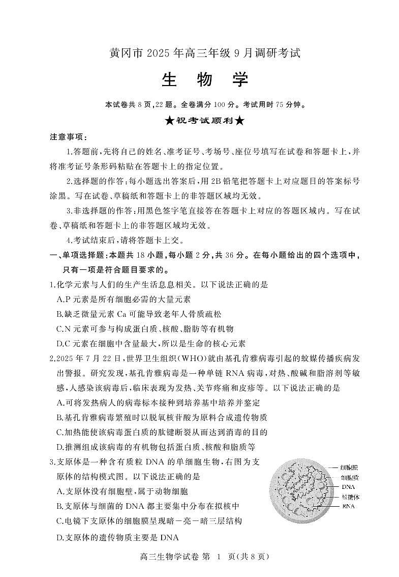 湖北省黄冈市2025年高三上学期9月起点考试生物试题+答案第1页