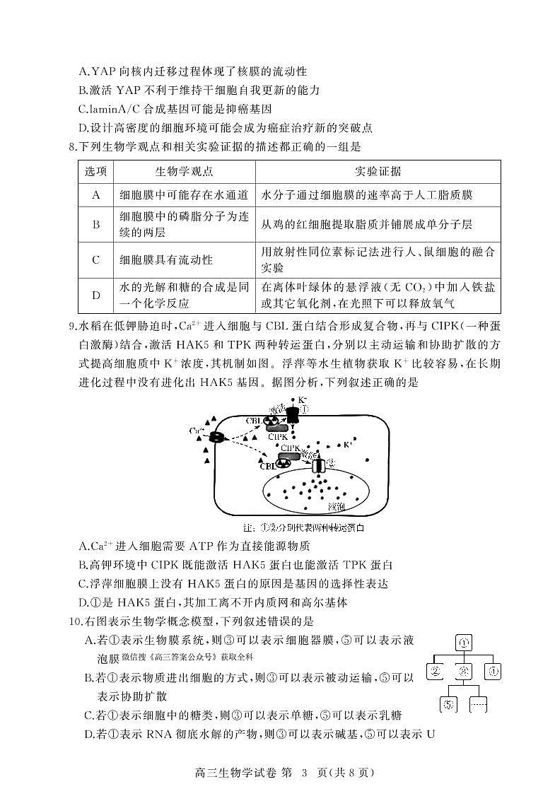 湖北省黄冈市2025年高三上学期9月起点考试生物试题+答案第3页