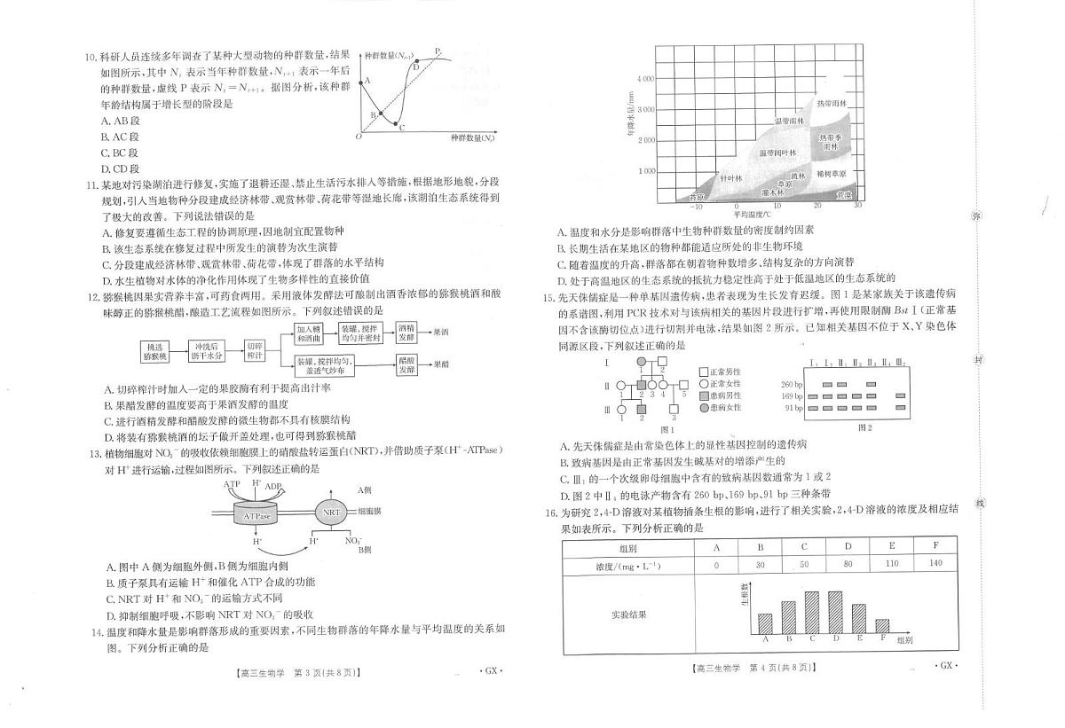 广西部分学校2026届高三上学期9月联考生物试卷（PDF版附解析）第2页