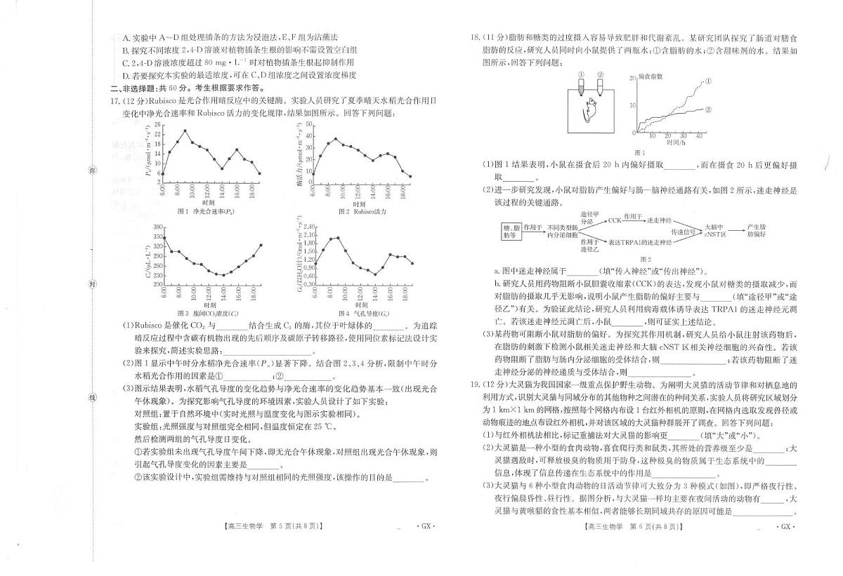 广西部分学校2026届高三上学期9月联考生物试卷（PDF版附解析）第3页