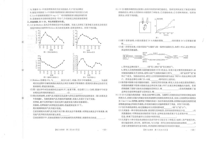 广西部分学校2026届高三上学期9月联考生物试卷（PDF版附解析）第3页
