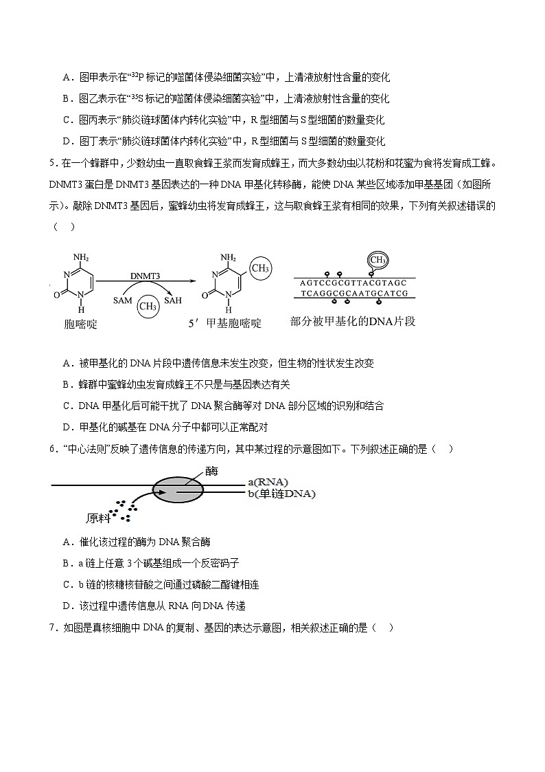 湖北省孝感市2025-2026学年高二上学期9月起点考试生物试卷（Word版附答案）第2页
