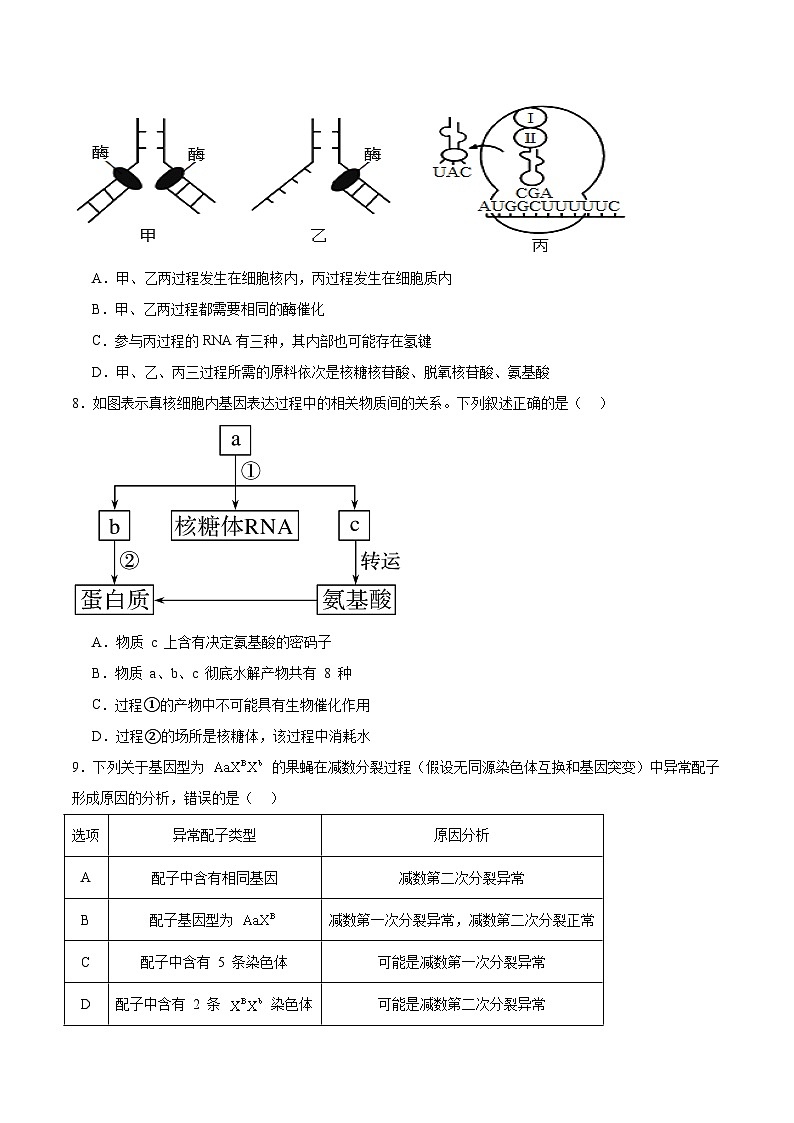 湖北省孝感市2025-2026学年高二上学期9月起点考试生物试卷（Word版附答案）第3页
