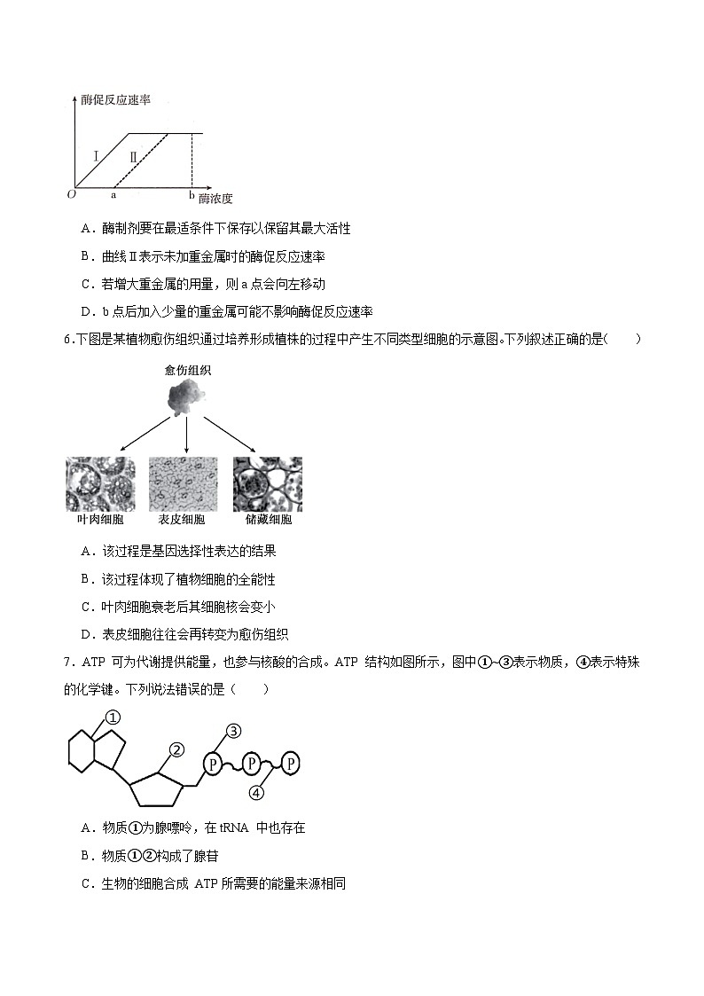 辽宁省部分学校2025-2026学年高二上学期9月开学联考生物试卷（Word版附答案）第2页